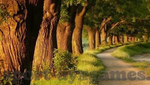 九妖手游平台官网app-开拓游戏新境界，九妖手游平台的魅力探索