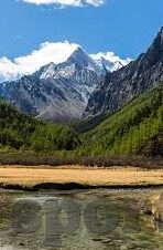 九游苹果客户端下载-掌握移动娱乐新体验，九游苹果客户端下载指南